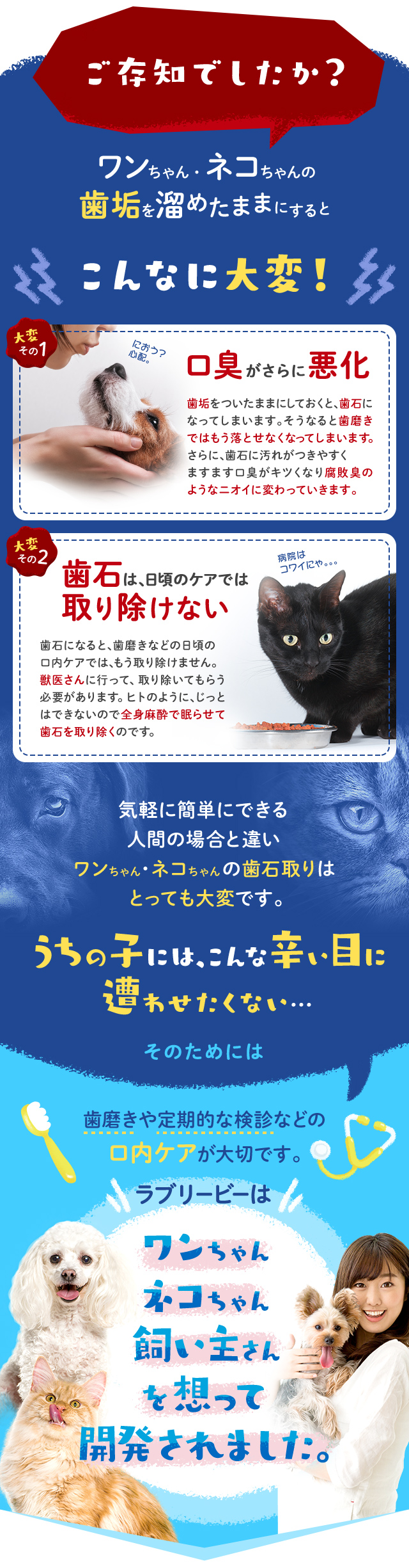 ご存知でしたか？ワンちゃん、ネコちゃんの歯垢を溜めたままにするとこんなに大変！