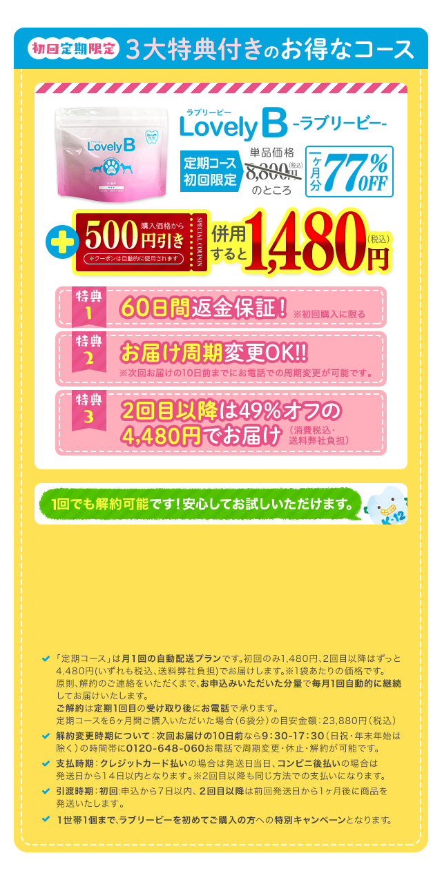 初回限定３大特典付きのお得なコース