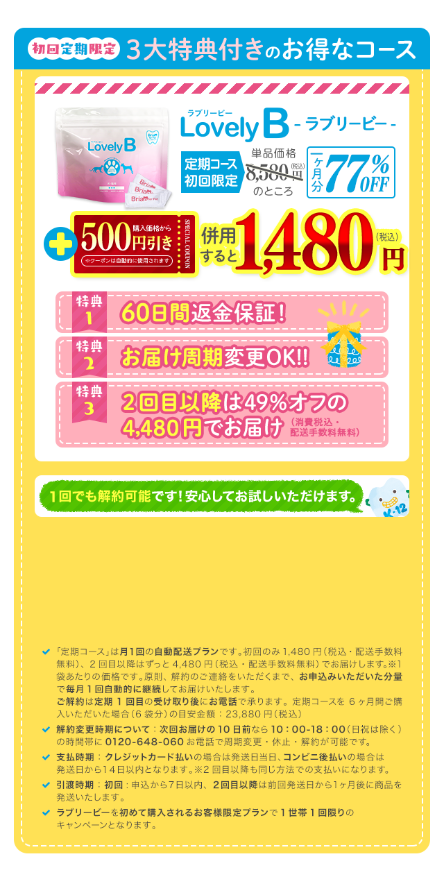 初回限定３大特典付きのお得なコース