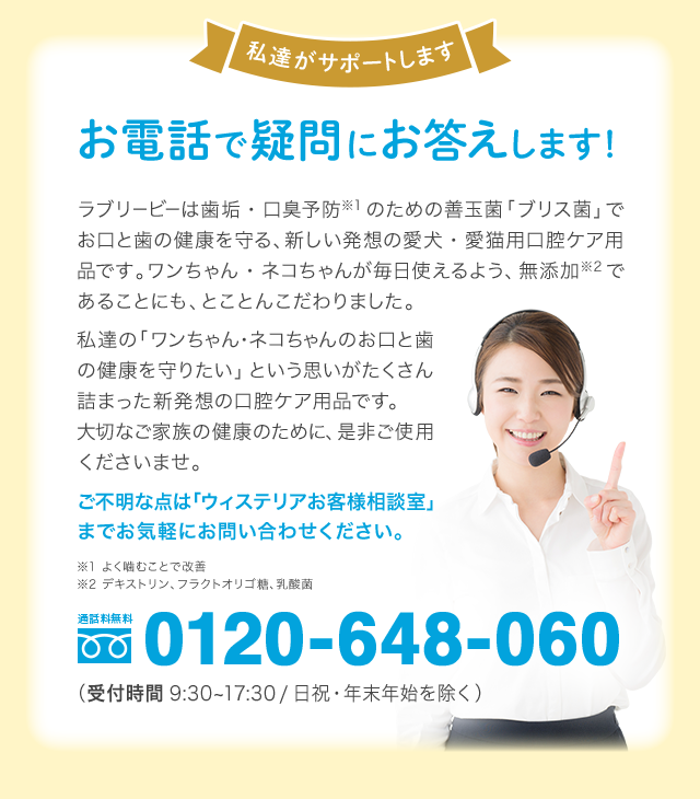 私達がサポートします