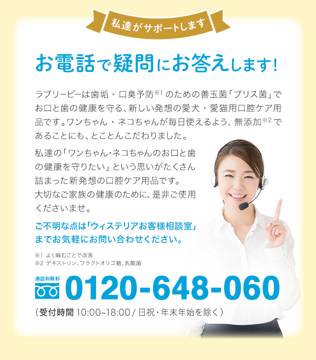 私達がサポートします